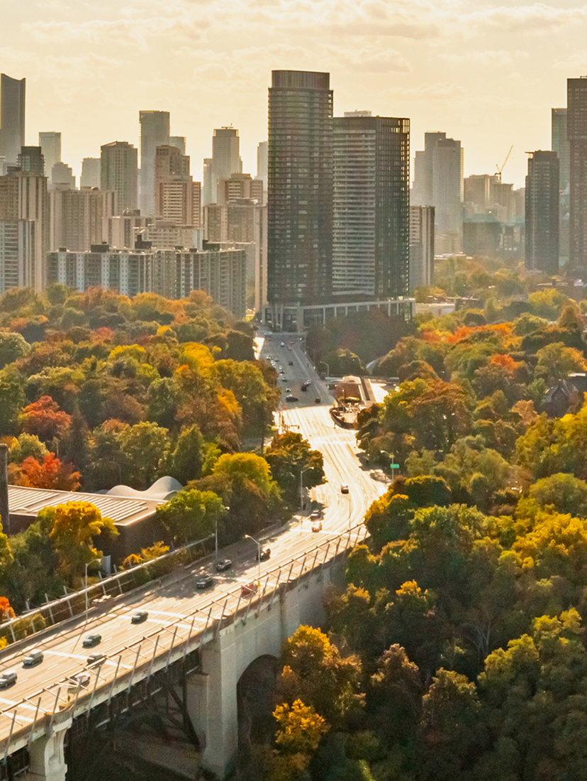 Aerial view of a city skyline surrounded by dense autumn foliage and a busy bridge running through the forested area.